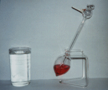 animierter Storch (170kB)